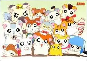 Comment se nomme le petit hamster manga, au centre de l'image ?