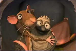 Comment se nomme ce rat accompagnant, le vilain petit canard ?