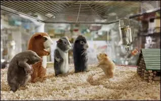 Film avec toutes sortes de rongeurs ' espions'.