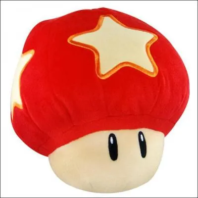 Quel est cet objet ?