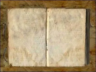 Avec quoi Harry dtruit-il le journal de Jdusor ?