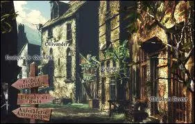 Qui retrouve Harry dans l'alle des Embrumes et le conduit sur le chemin de traverse ?