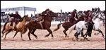 Sports et Disciplines Equestres. Sport national en afghanistan, ce jeu questre collectif consiste  transporter une carcasse de chvre dans le camp adverse.