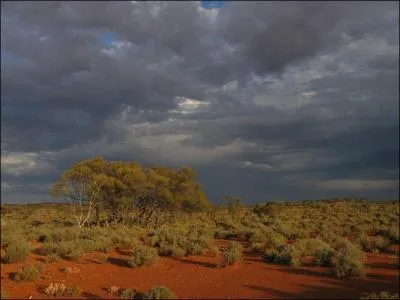 Ils vivaient en grande parti dansles zones arides de ce pays que l'on appelle encore aujourd'hui...