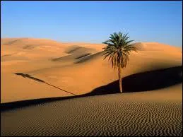Le dsert du Sahara est :