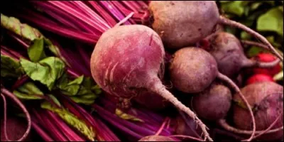 Avec la betterave, on fabrique du sucre.