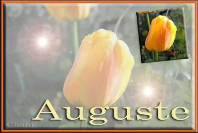 Ce sculpteur prnomm Auguste oeuvra dans la seconde moiti du XIXe sicle. On lui doit notamment 'La Porte de l'Enfer', visible actuellement au muse qui porte le nom de l'artiste. C'est Auguste ...