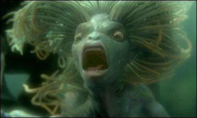 Qui attaque Harry lors de la 2e tche du Tournoi des trois sorciers ?