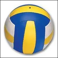 De quel sport vient ce ballon ?