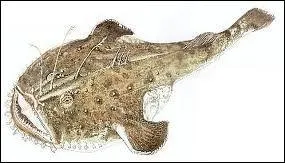 Quelle est ma prfecture ?