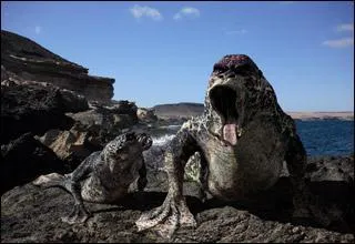 Quel personnage avoue ne pas savoir nager lors de la saison 2 ?