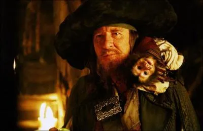 Dans quel(s) film(s) se trouve Hector Barbossa ?