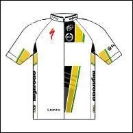 A quelle quipe appartient ce maillot ?