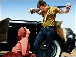 Avec quel grand acteur amricain partage-t-il l'affiche du film ' Gant ' son dernier rle ?