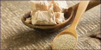 La levure du boulanger est un champignon.