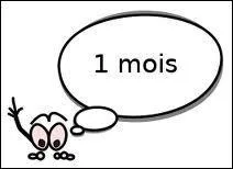 Combien de temps Ulysse est-il rest avec ole ?