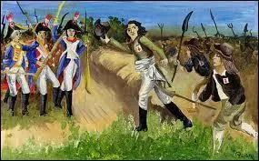 Les Bleus des guerres de Vende taient :