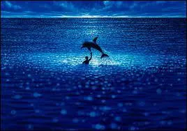 Qui incarne Enzo Molinari dans le film de Luc Besson' Le Grand Bleu' ?