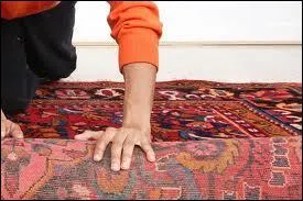 Par qui Pris est-il recueilli ?