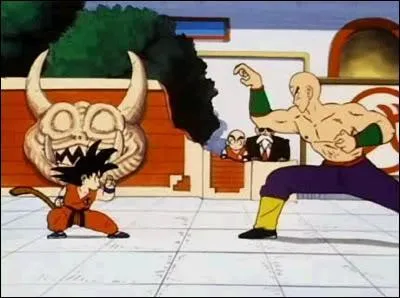 Qui remporte la finale du tournoi entre Sangoku et Tenshinhan ?