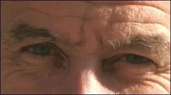 Ces yeux sont  ... .