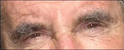 Ces yeux sont  ... .