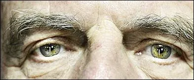 Ces yeux sont  ... .