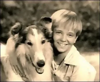 La chienne Lassie, vedette de nombreux films et sries tl est l'hrone d'un roman de :