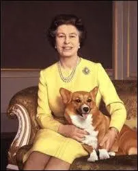 De quelle race sont les nombreux chiens de la reine Elizabeth II d'Angleterre ?