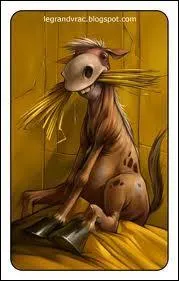 Que direz-vous si vous avez trouv ce quizz compltement idiot ?