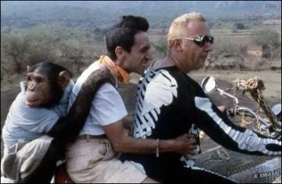 De quel film s'agit-il?