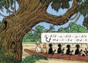 Quiz Tintin et compagnie