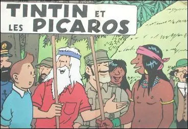 Tintin et les Picaros : De quoi sont souponns Tintin, le Capitaine Haddock, et Tournesol ?