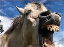 Dans quel(s) cas les surdents sont-elles gnantes ?