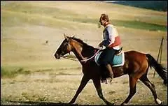 La fourbure touche principalement les chevaux qui pratiquent quelle discipline ?