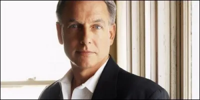 Comment s'appelle Mark Harmon dans "N. C. I. S" ?