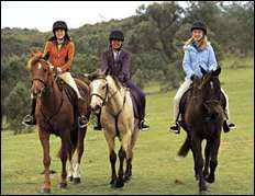 Qui est la chef du groupe ?