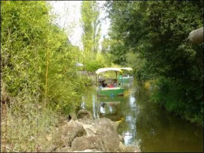 Quelle est cette attraction ?