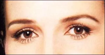 Ce regard appartient  ...