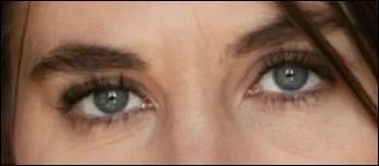 Ce regard appartient  ...