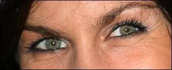 Ce regard appartient  ...