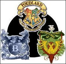 Qui meurt a la fin du tournoi des 3 sorciers ?