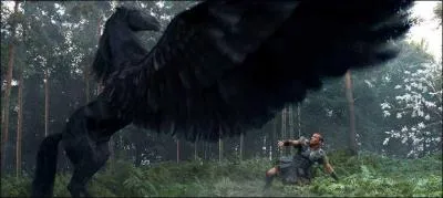 Comment se nomme le cheval ail n du sang de Mduse ?