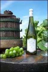 Le muscadet sur lie est issu d'un procd de vinification. Ce vin  l'origine tait appel par les vignerons :