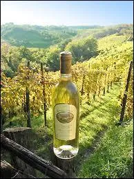 Quel roi de France aurait-t baptis avec quelques gouttes de Juranon ?