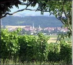 Lequel de ces vins n'est pas du Sud-Ouest ?