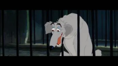 Cochez le bon dessin anim :