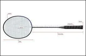 Dans quel sport peut-on retrouver cette raquette ?