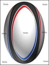 Dans quel sport peut-on retrouver ce ballon ?