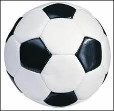Dans quel sport peut-on retrouver ce ballon ?